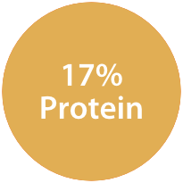 17% Protein