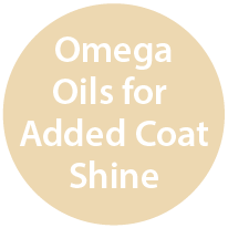 Omega Oils for Added Coat Shine