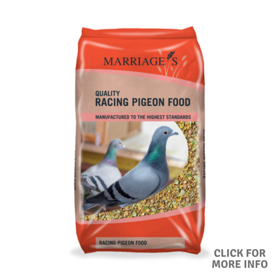 pigeon food pets at home
