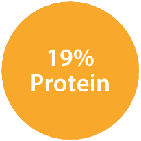 19% Protein