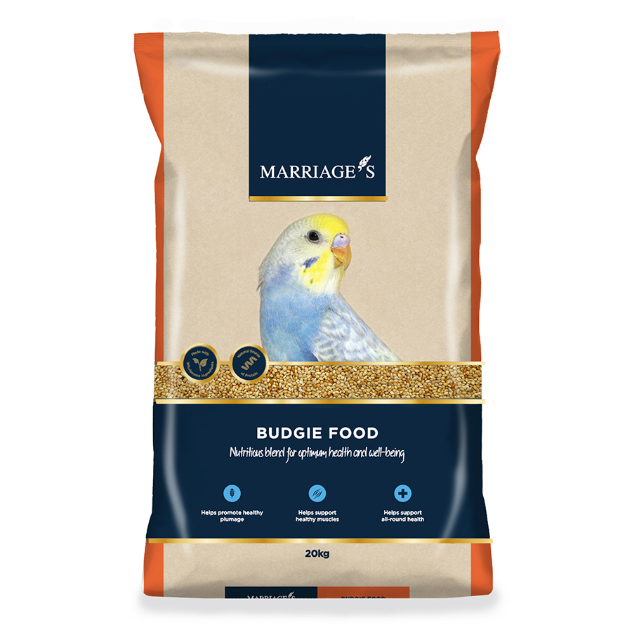 Budgie Food